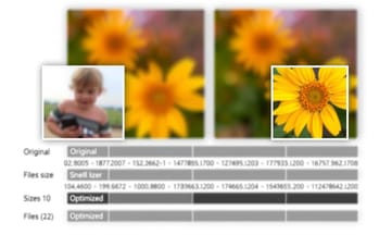 5_img_amp-seo-impact-analysis.jpg