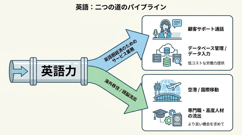 核心メカニズム：英語が「入口」と「出口」を同時に開く構造